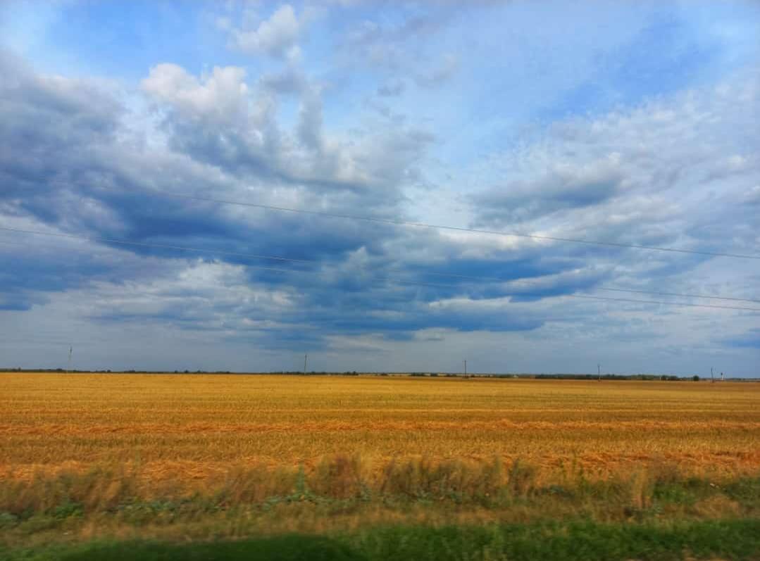 Доброе утро, жители и гости нашего МО!.