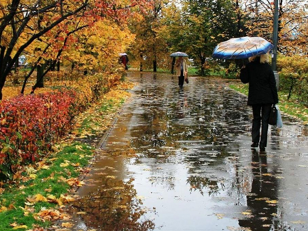 Доброе утро, жители и гости нашего МО!.