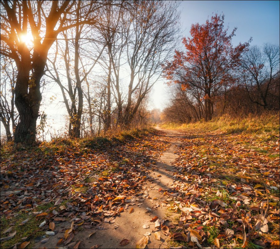 Доброе утро, жители и гости нашего МО!.