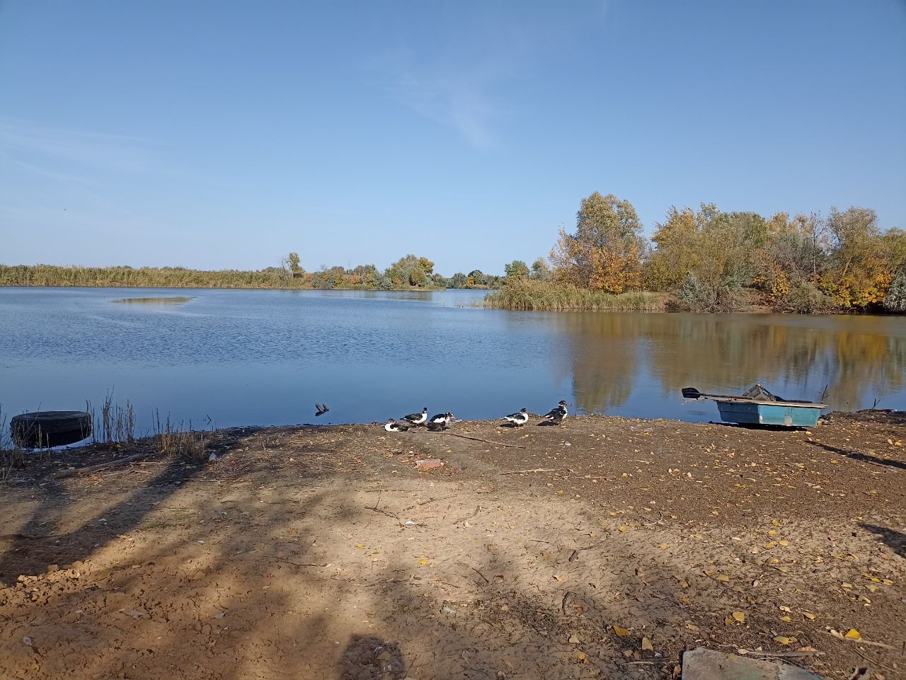 Доброе утро, жители и гости нашего МО!.