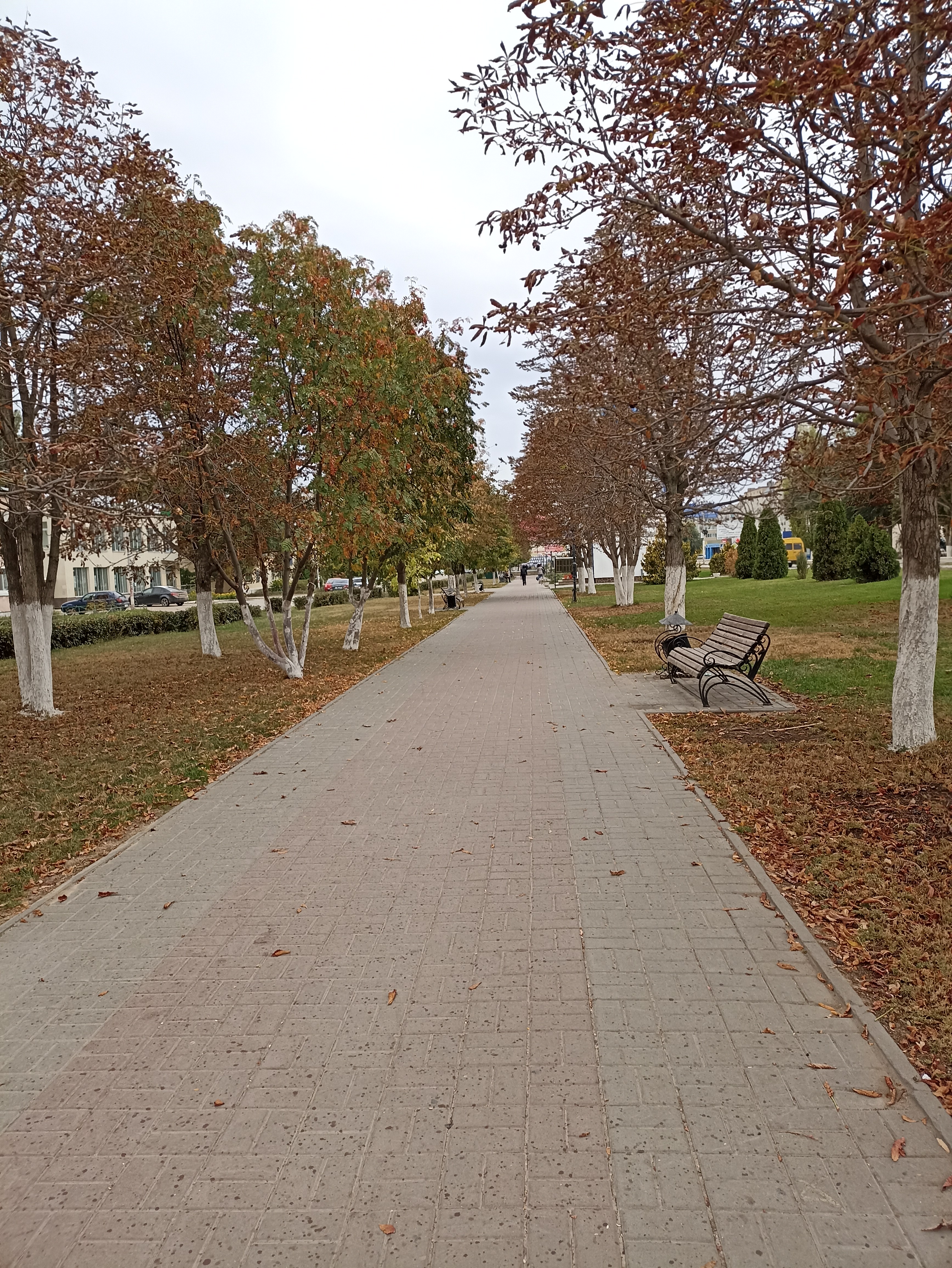 Доброе утро, жители и гости нашего МО!.