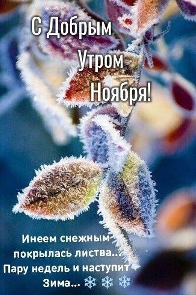 Доброе утро, жители и гости нашего МО!.