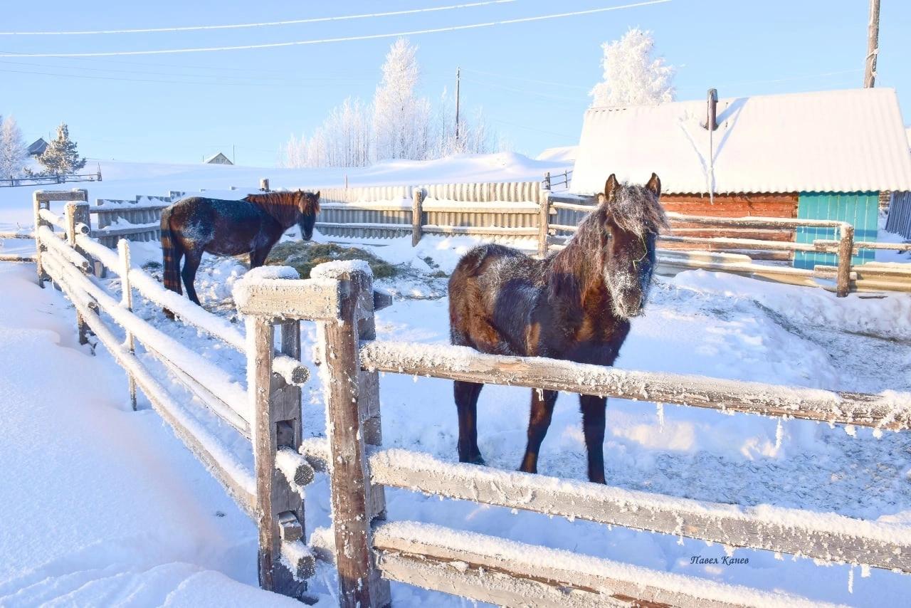 Доброе утро, жители и гости нашего МО!.