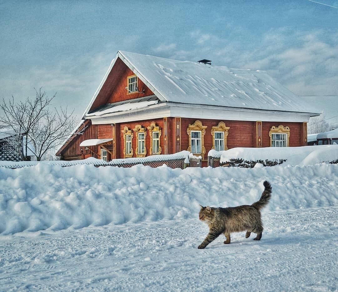 Доброе утро, жители и гости нашего МО!.