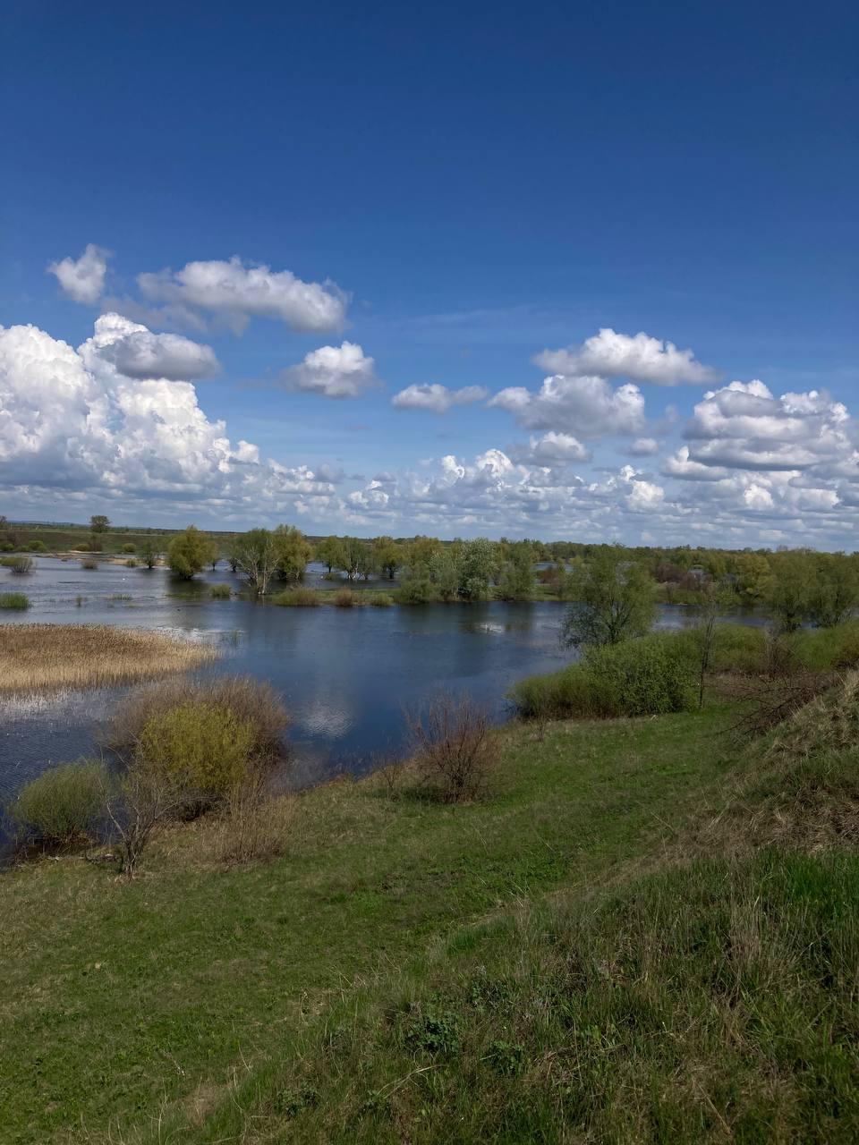 Доброе утро, жители и гости нашего МО!.