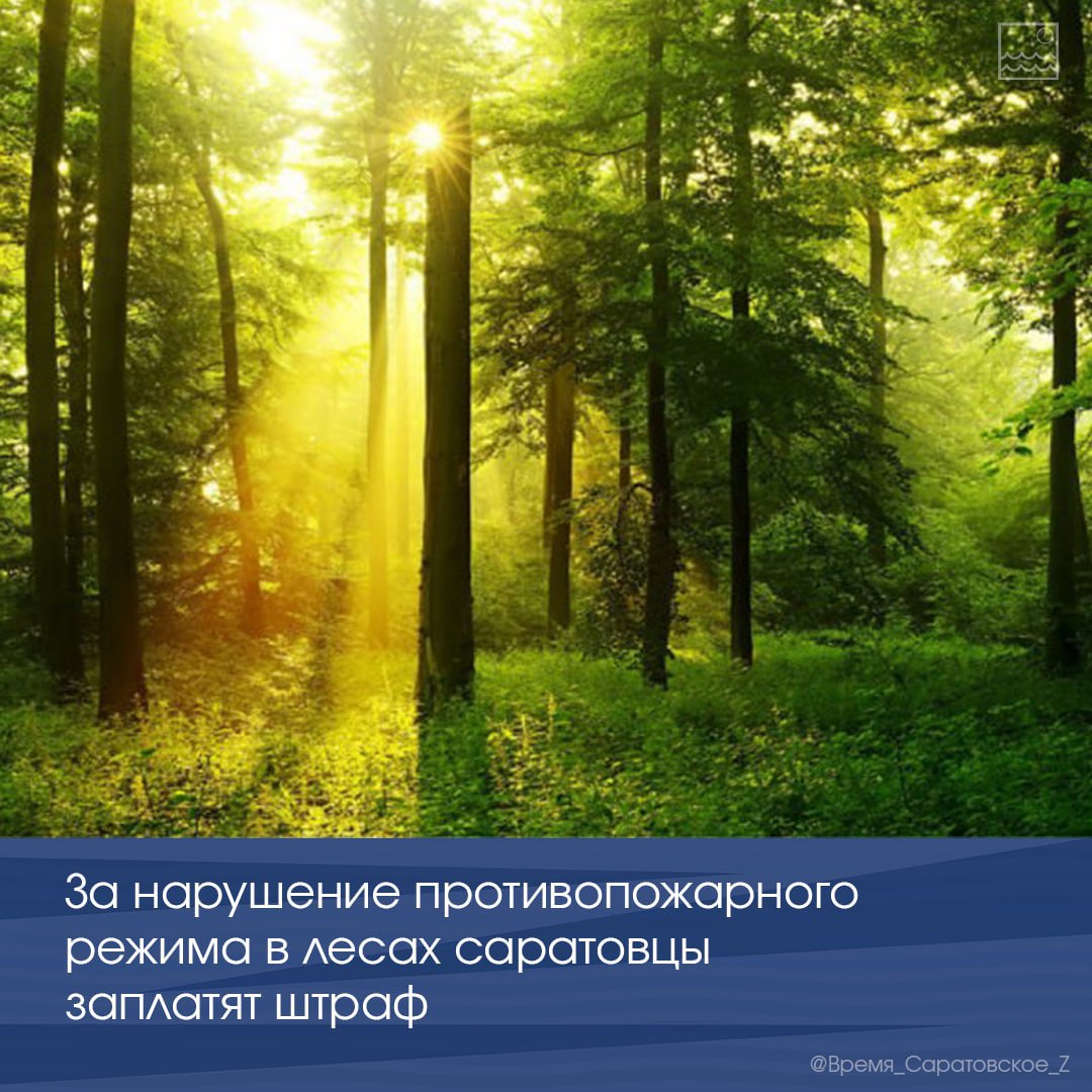 За нарушение противопожарного режима в лесах саратовцы заплатят штраф   ⛔️С 27 апреля в лесах региона введен особый противопожарный режим. Он накладывает ряд ограничений. Например, запрещено въезжать в лес на транспорте, пользоваться открытым огнем..