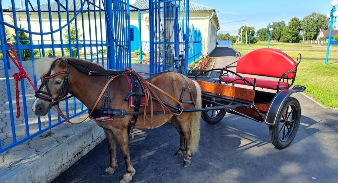 Доброе утро, жители и гости нашего МО!.