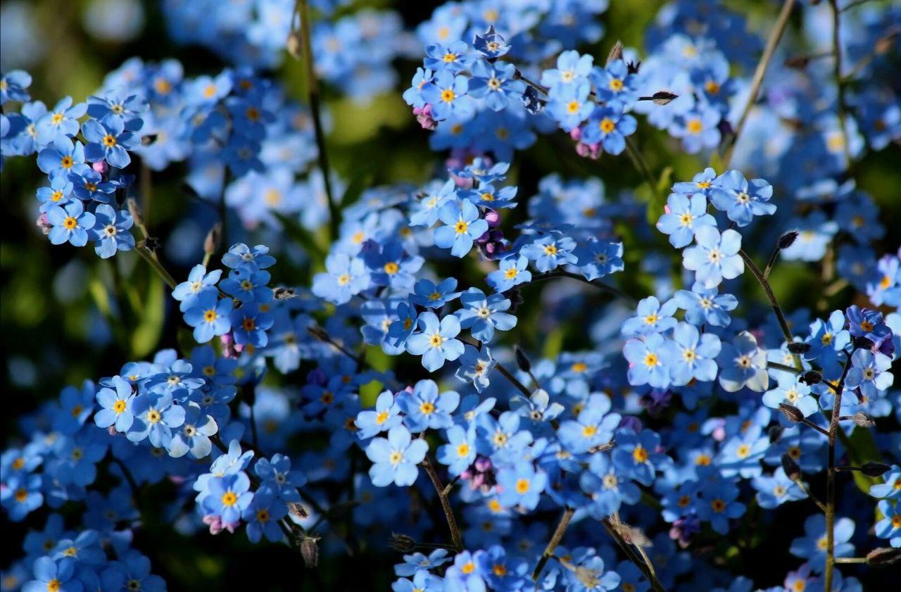 Доброе утро, жители и гости нашего МО!.