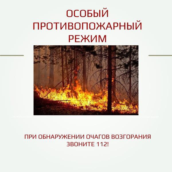 На территории региона продолжает действовать особый противопожарный режим ❗️.