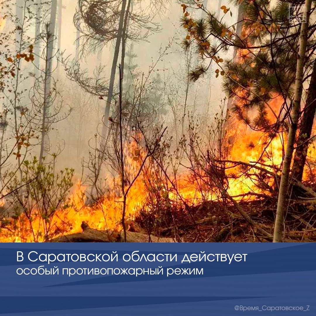 В Саратовской области действует особый противопожарный режим.