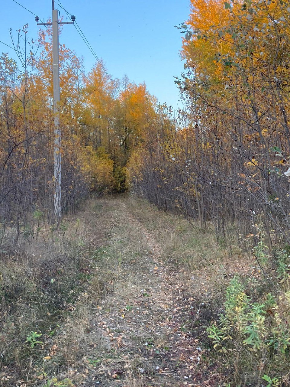 Доброе утро, жители и гости нашего МО!.