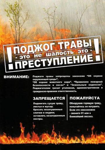 В связи с погодными условиями в области сложилась тяжелая пожароопасная обстановка.  .