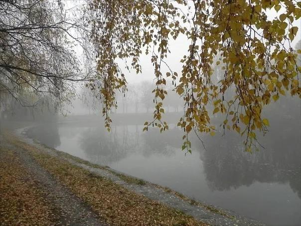 Доброе утро, жители и гости нашего МО!.