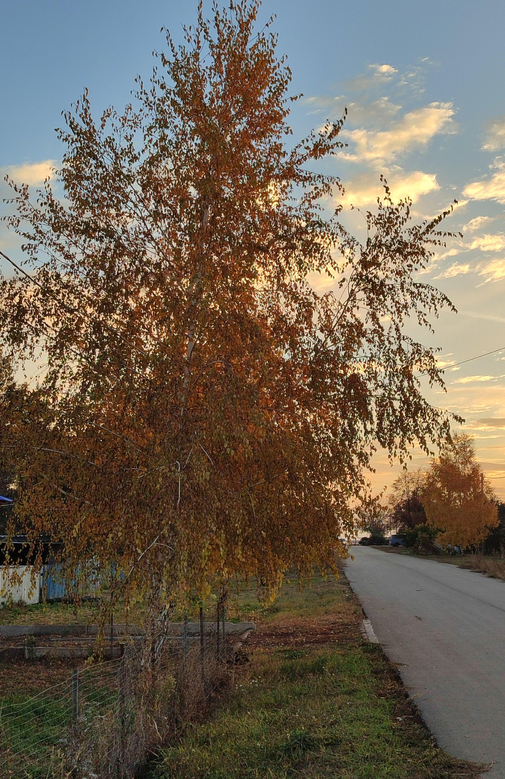 Доброе утро, жители и гости нашего МО!.