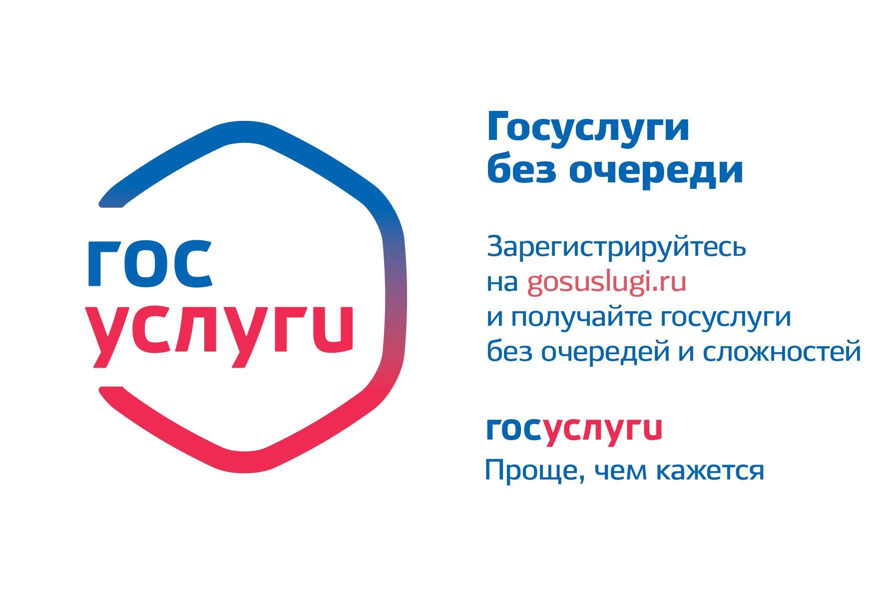 С 1 апреля 2010 года у граждан появилась возможность обратиться за получением государственных услуг, предоставляемых миграционной службой,  с использованием сети Интернет посредством Единого портала государственных и муниципальных услуг gosuslugi.ru.  .