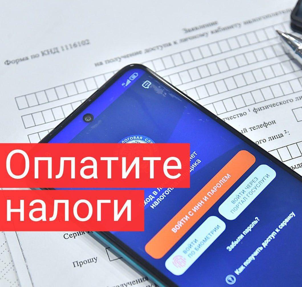 Какие налоги надо заплатить до 2 декабря?.