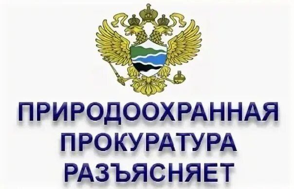 Саратовская межрайонная природоохранная прокуратура разъясняет законодательство об ответственном обращении с животными.