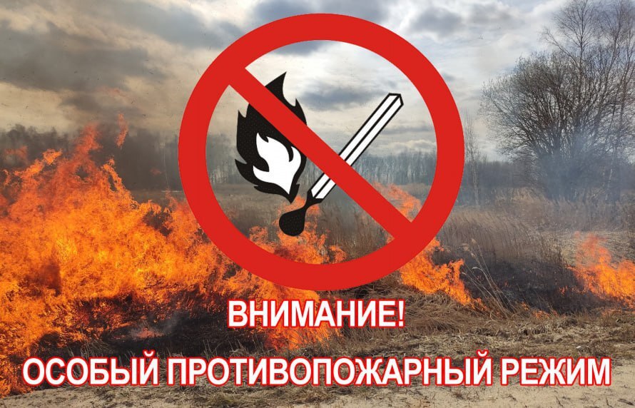 На территории Саратовской области продолжает действовать особый противопожарный режим..