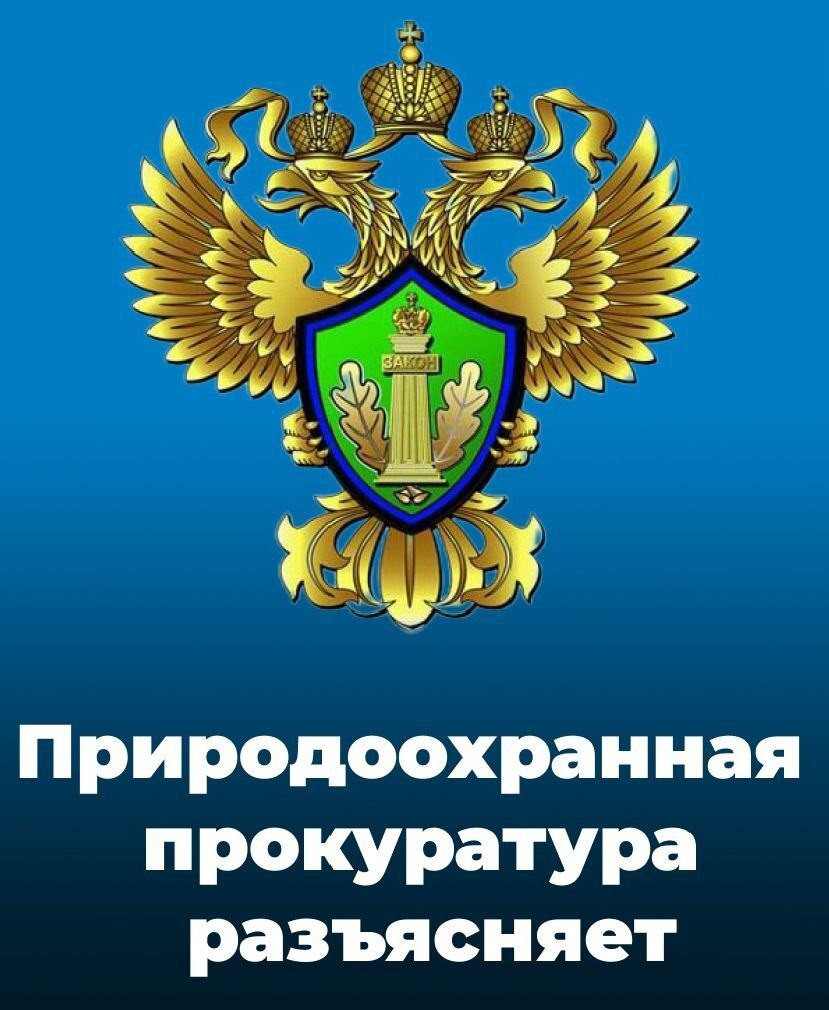 Саратовская межрайонная природоохранная прокуратура разъясняет законодательство об ответственном обращении с животными..