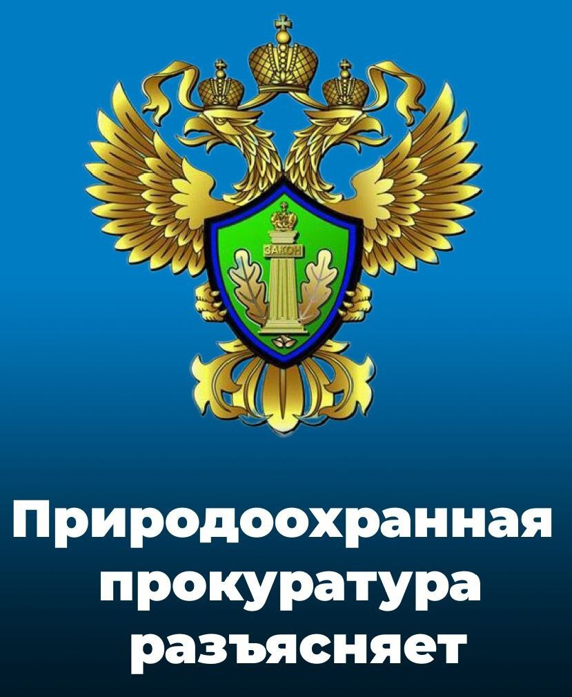 Саратовская межрайонная природоохранная прокуратура разъясняет изменения, внесенные в законодательство об охоте. .